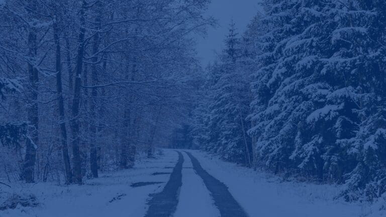 Winter Storm Fern: Resources Every Tennessee Business Should Know