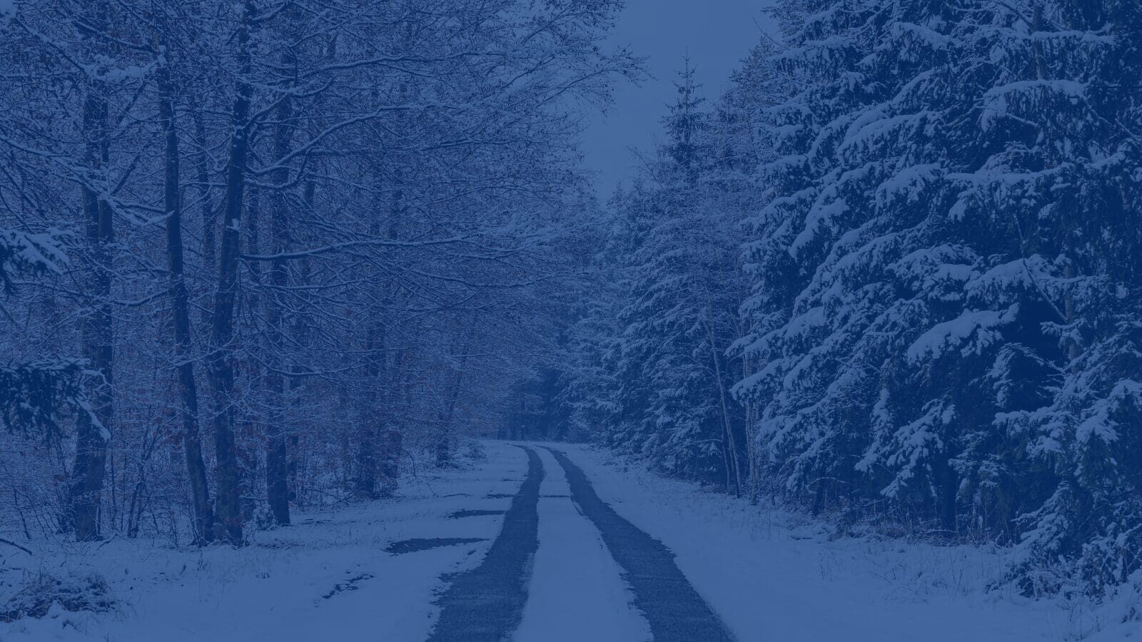 Winter Storm Fern: Resources Every Tennessee Business Should Know