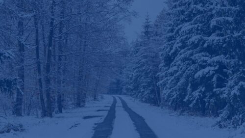 Winter Storm Fern: Resources Every Tennessee Business Should Know