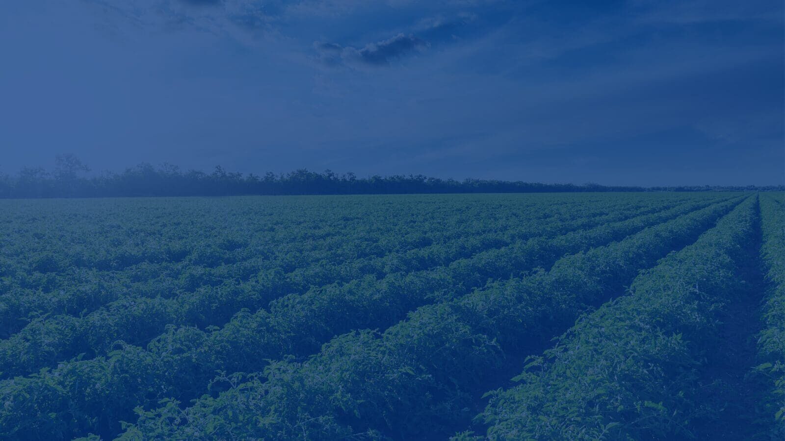 Legal Certainty Supports Tennessee Agriculture and Employers Alike