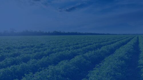 Legal Certainty Supports Tennessee Agriculture and Employers Alike